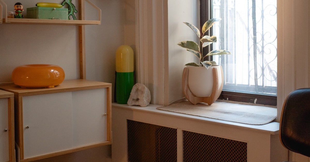 Braid & Wood Nested Plant Stand on a sunny windowsill holding a variegated rubber tree in a Brooklyn apartment