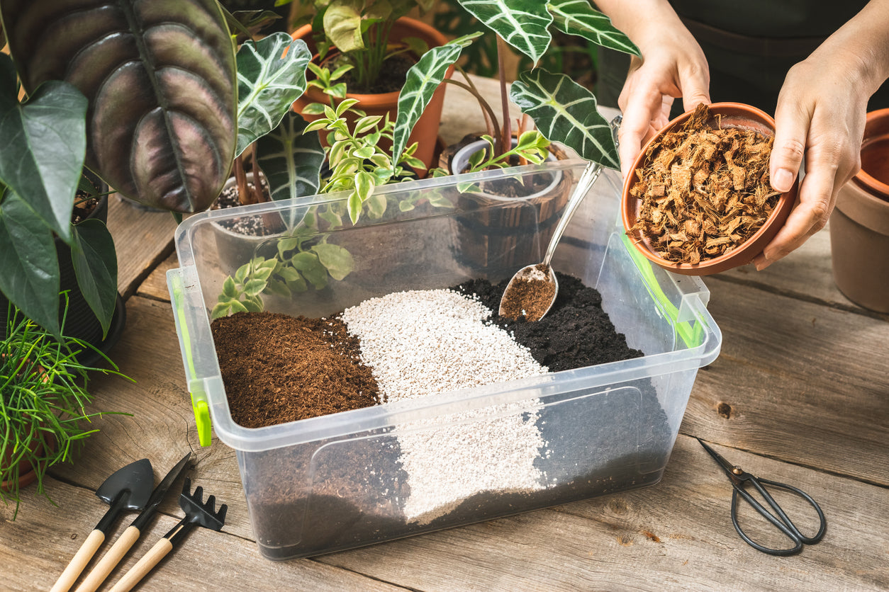 plastic bin with different types of drainage material for houseplants