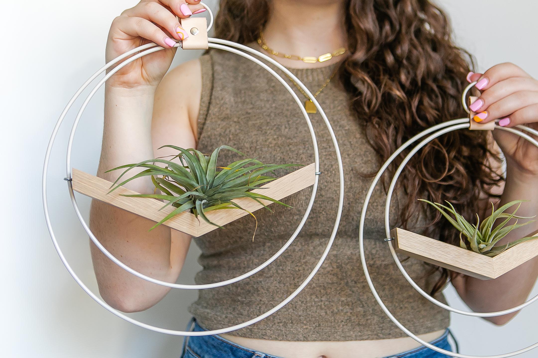 person holding two braid & wood white wall mounted air plant holders