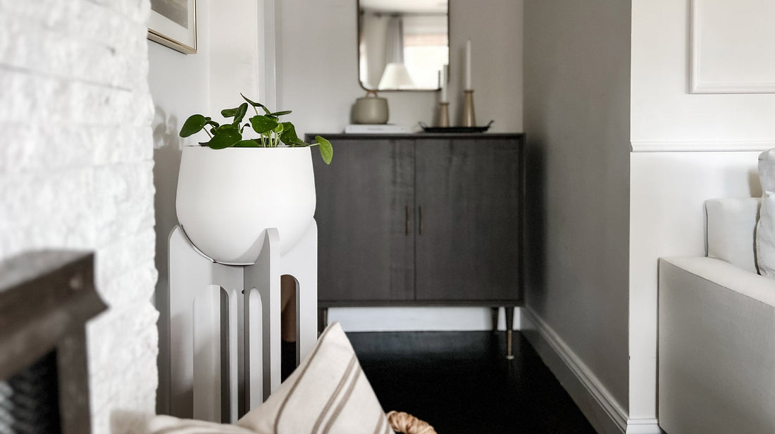 modern tall gray plant stand and white pot by braid & wood styled in contemporary living room