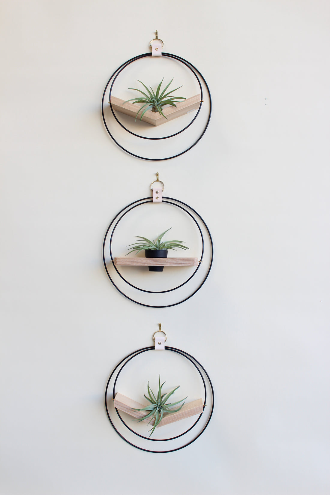 Air Plant V-Hanger & Shelf Mixed Trio