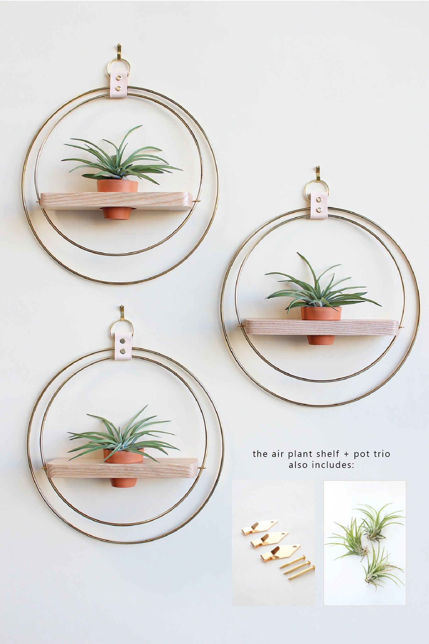 Air Plant Shelf + Pot Trio