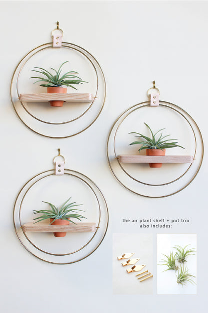 Air Plant Shelf + Pot Trio
