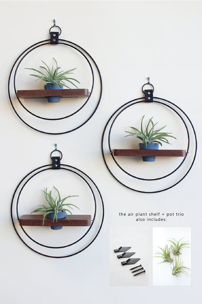 Air Plant Shelf + Pot Trio