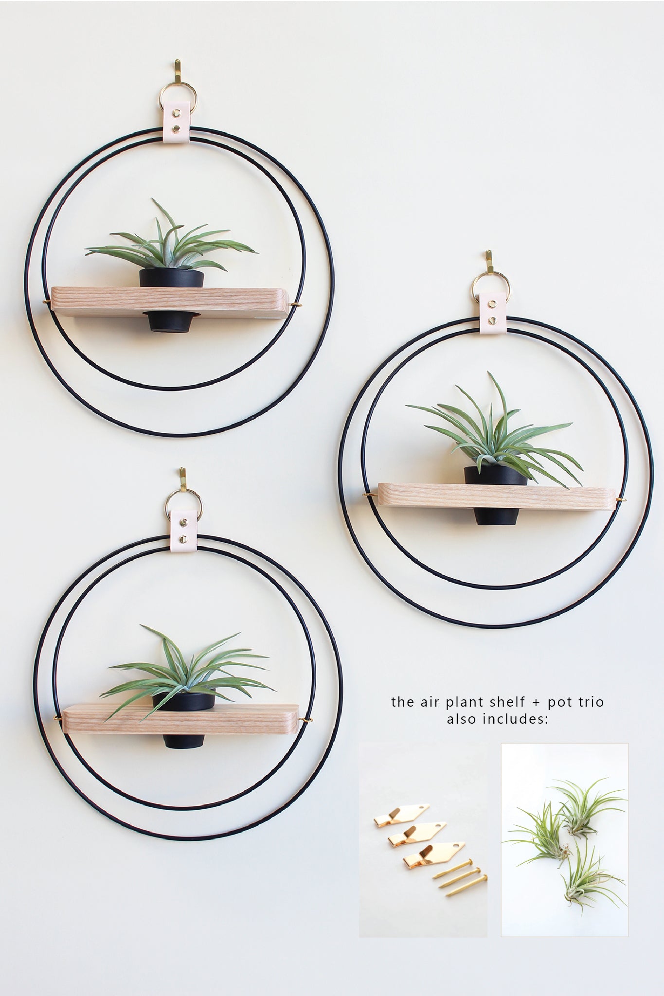 Air Plant Shelf + Pot Trio