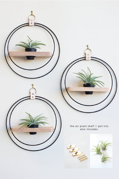Air Plant Shelf + Pot Trio