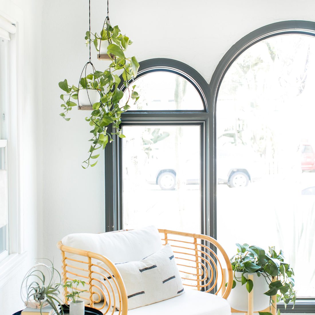 modern black hanging planters styled in a living room