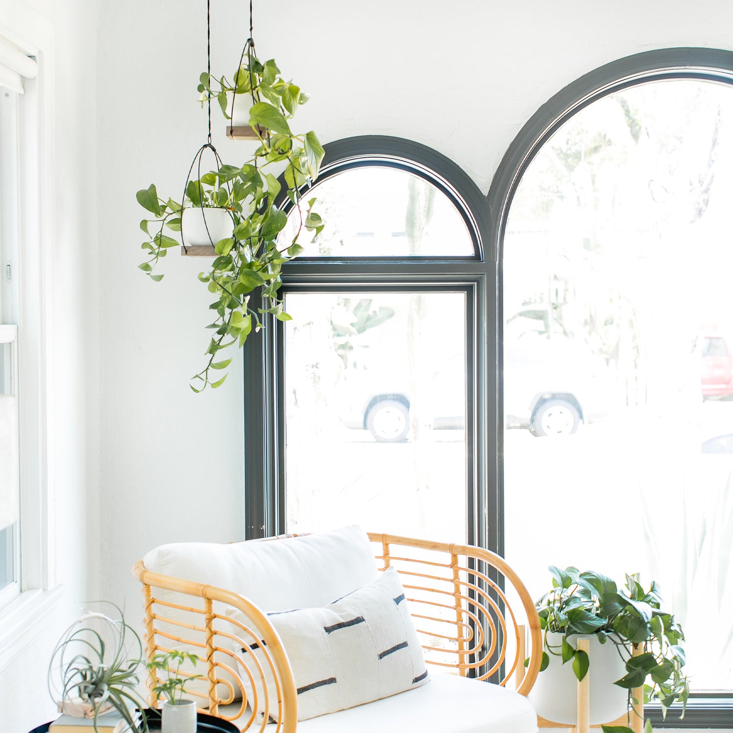 braid and wood plant hanger Plant Hanger