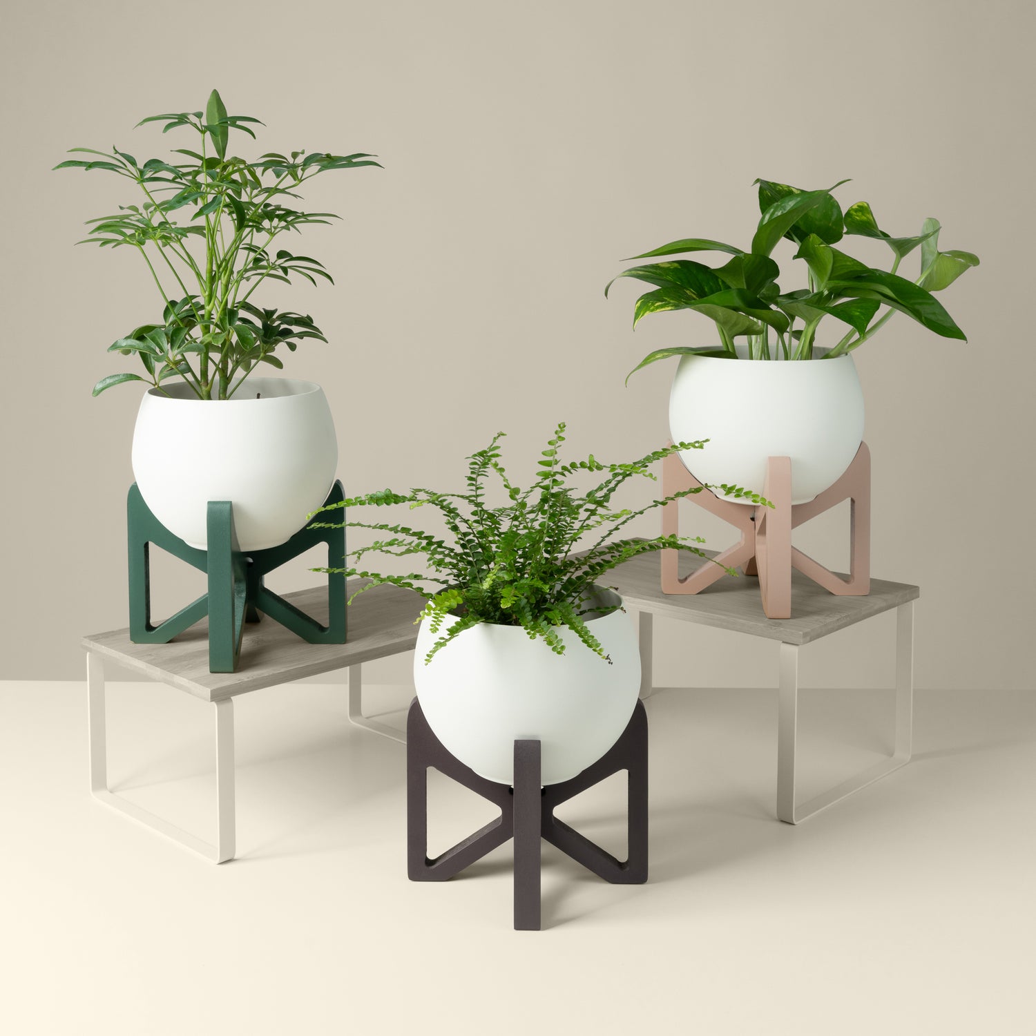 three wooden plant stands with aluminum pots for houseplants