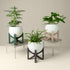 three wooden plant stands with aluminum pots for houseplants
