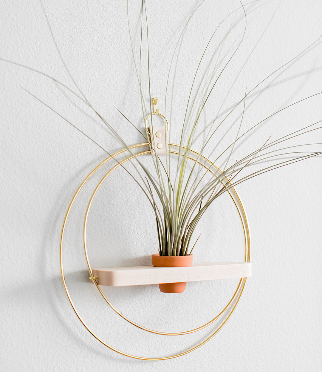 modern gold plant shelf by braid and wood with terracotta pot on white background
