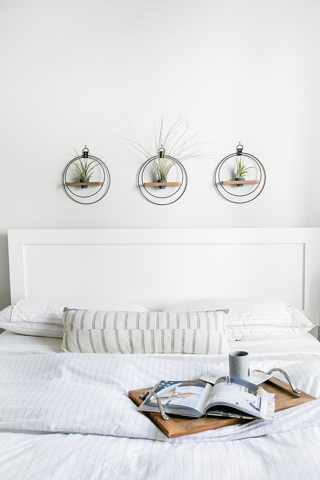 three modern plant shelves hanging above bed