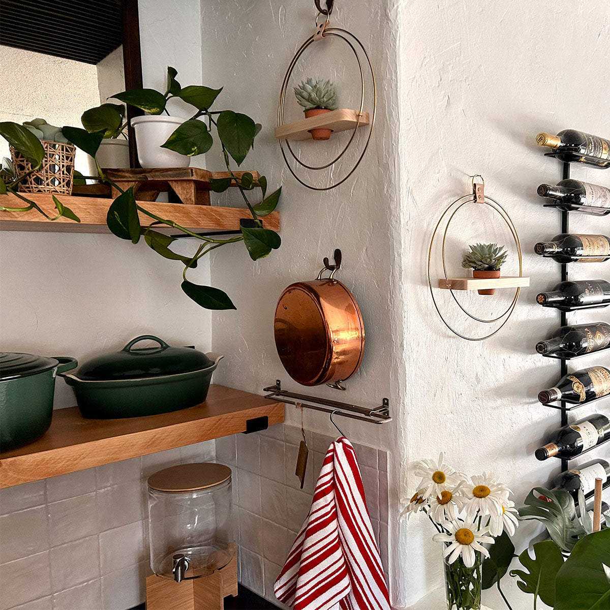 two gold braid & wood plant shelves with mini terracotta pots and succulents styled in kitchen