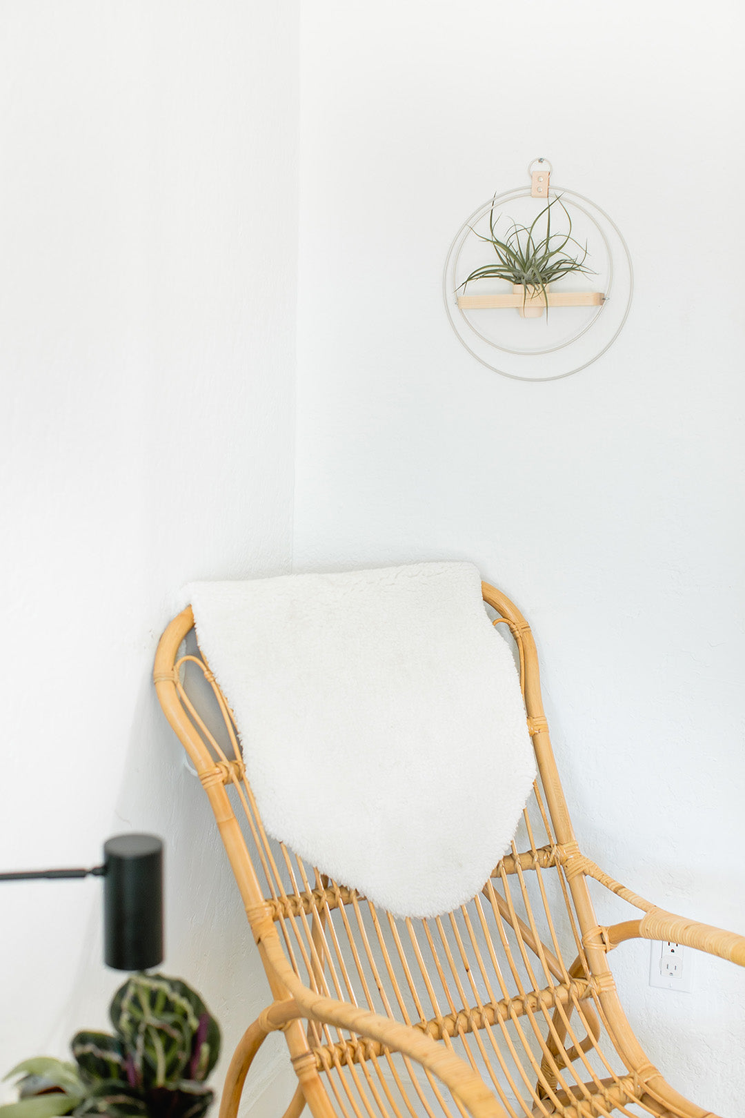 white wall mounted plant shelf with air plant hanging on white wall above chair