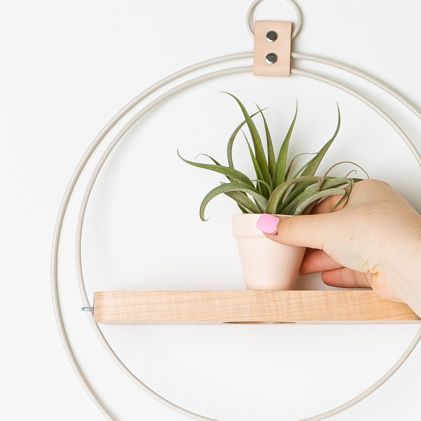 person holding mini blush terracotta pot with air plant next to white plant shelf by braid & wood