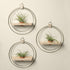 three wall mounted maple plant shelves with gold metal rings and terracotta pots