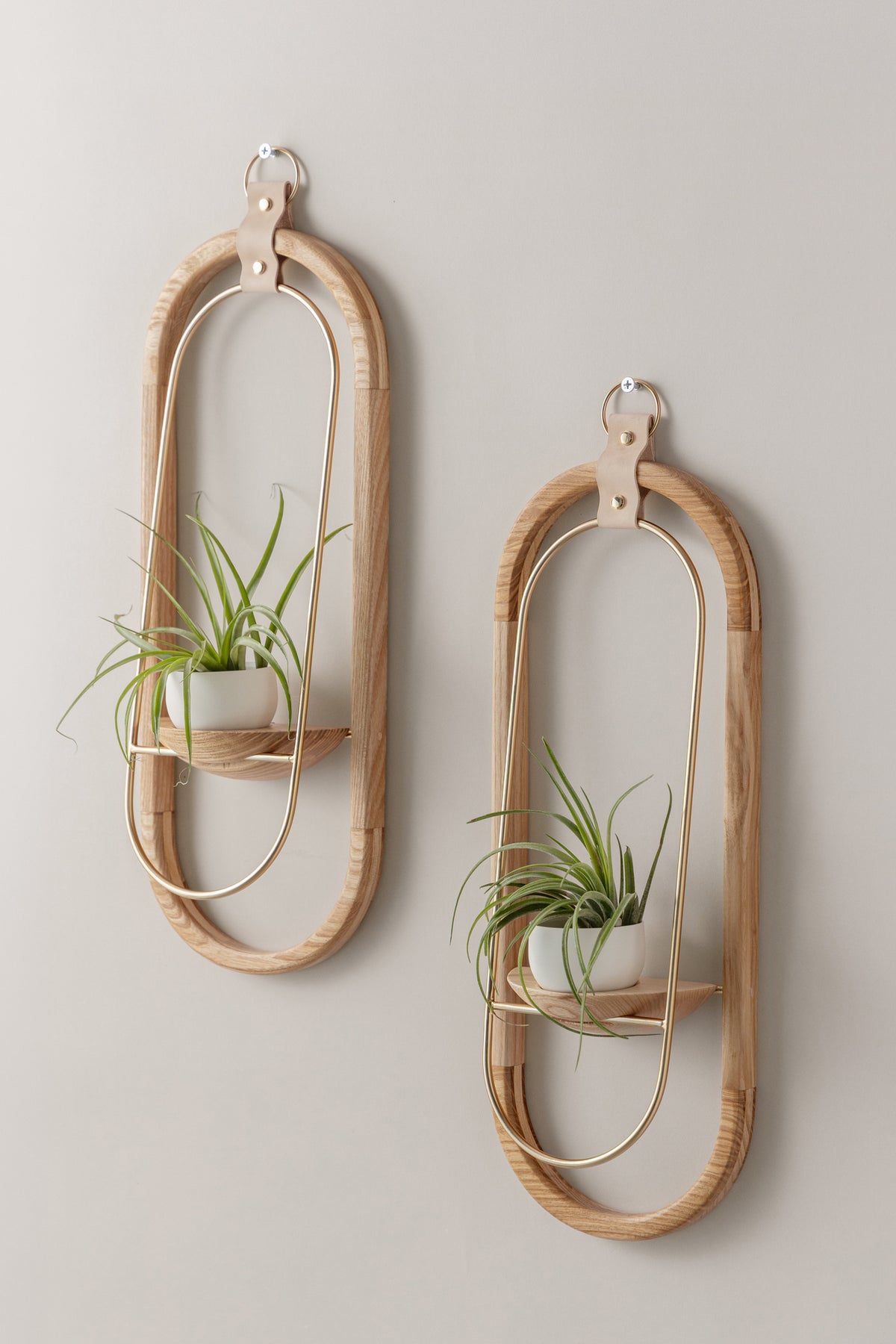 Crescent Air Plant Shelf + Pot Duo