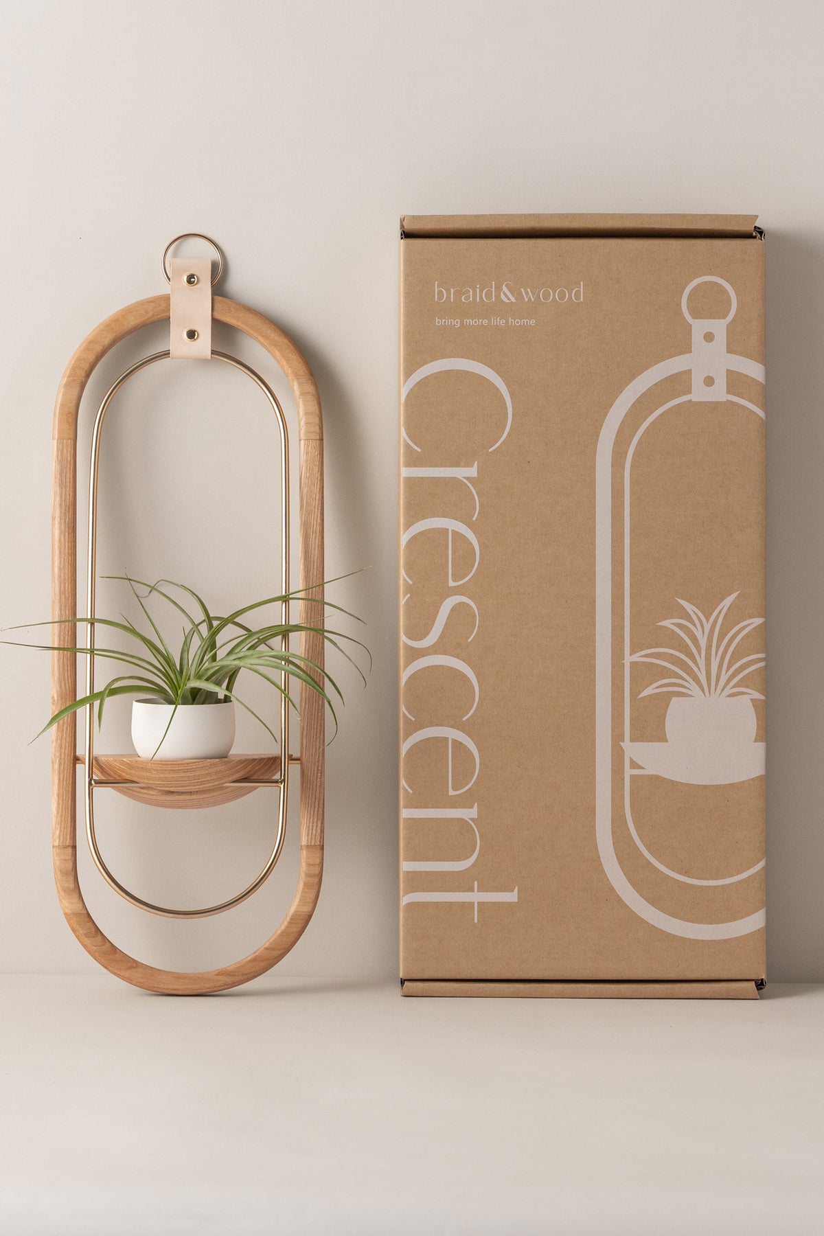 Crescent Air Plant Shelf + Pot