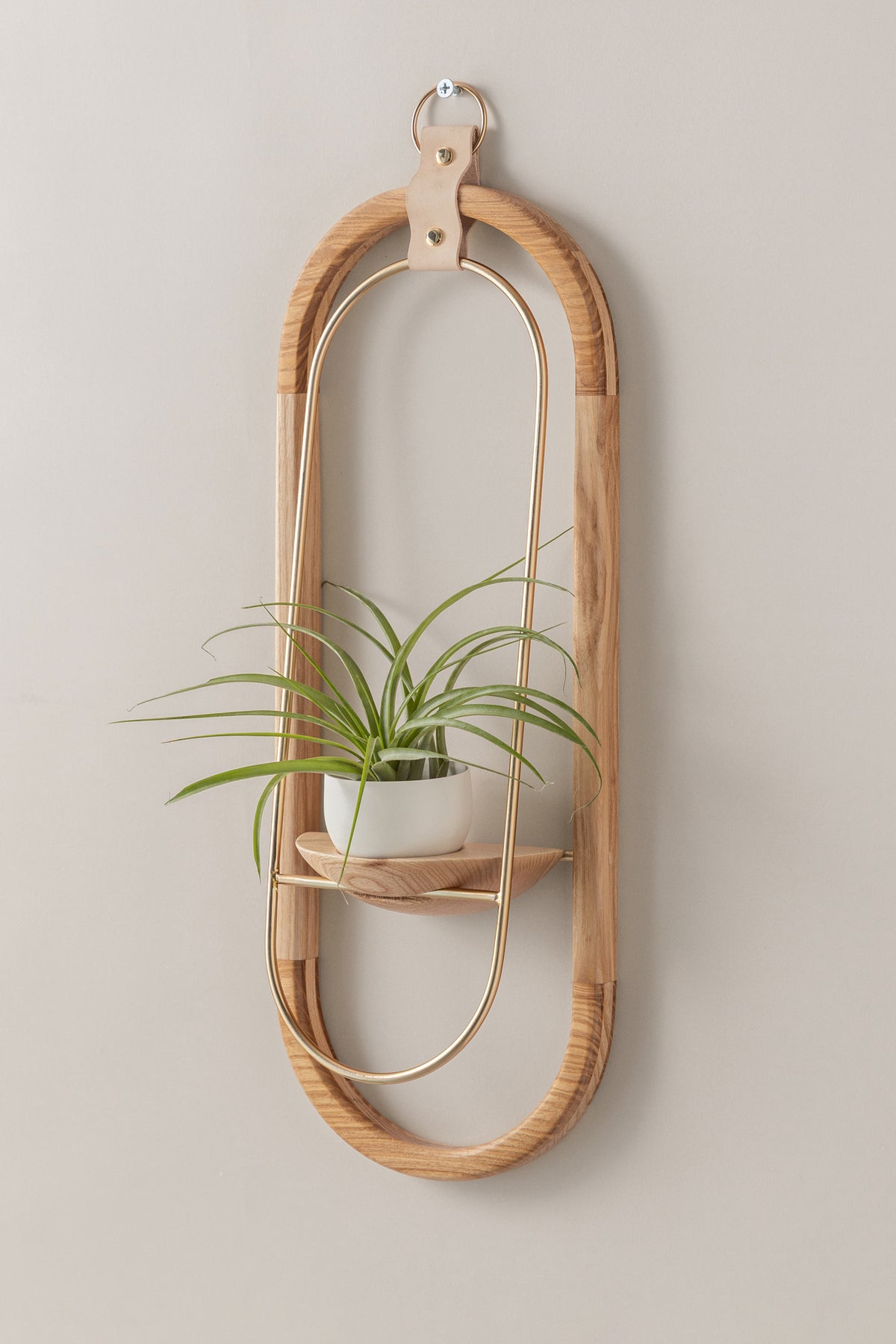 Crescent Air Plant Shelf + Pot