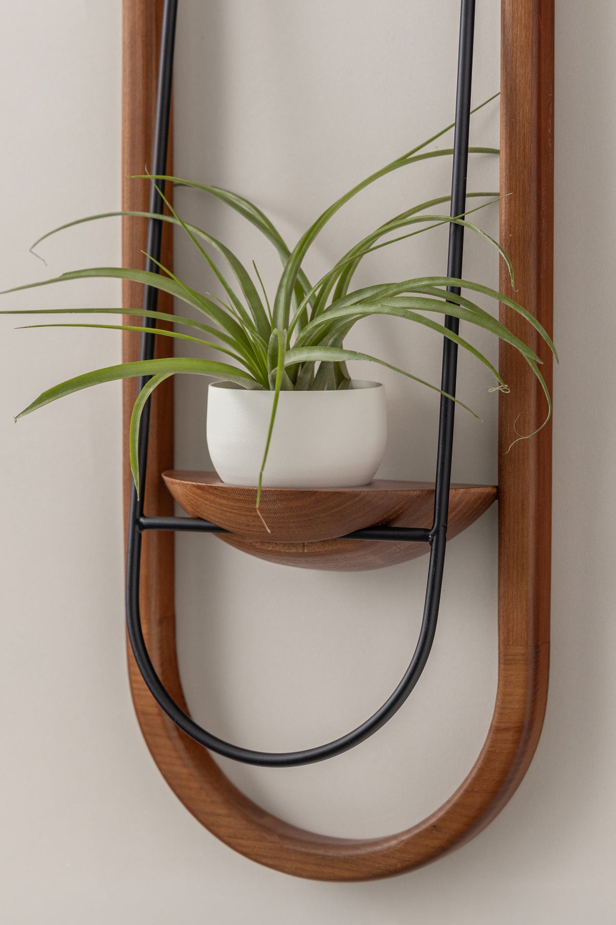 Crescent Air Plant Shelf + Pot Duo
