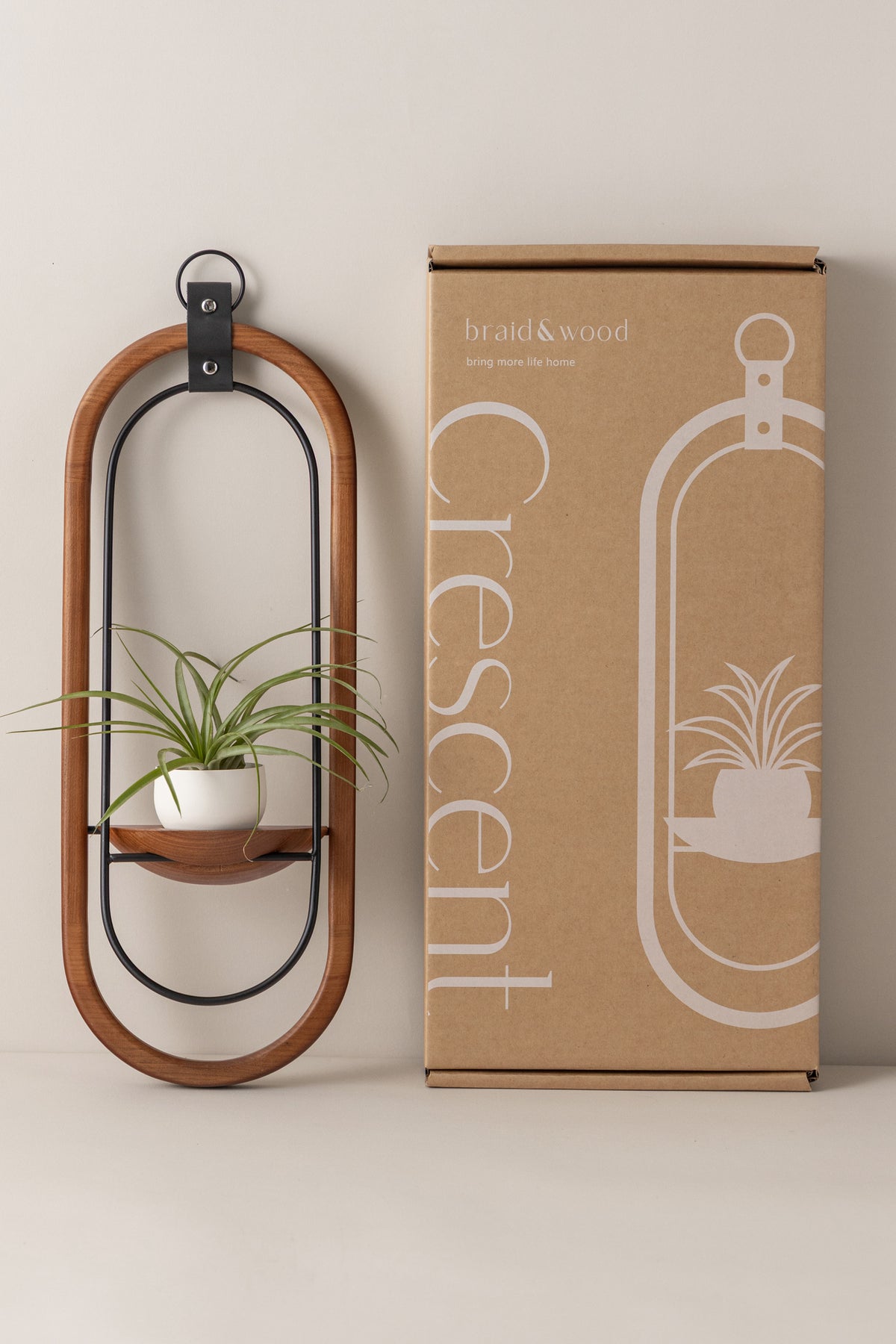 Crescent Air Plant Shelf + Pot Duo