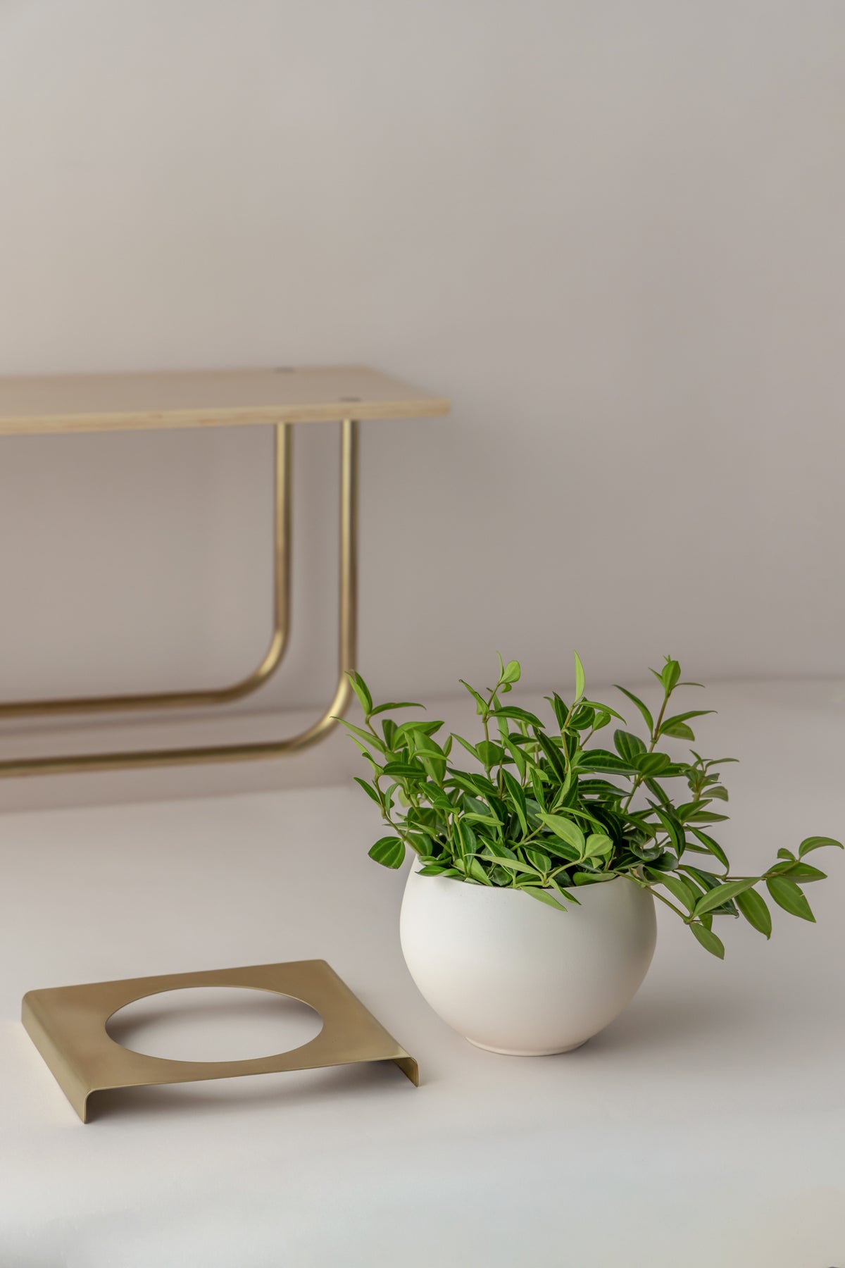 Curve Wall Shelf + Pot Trio
