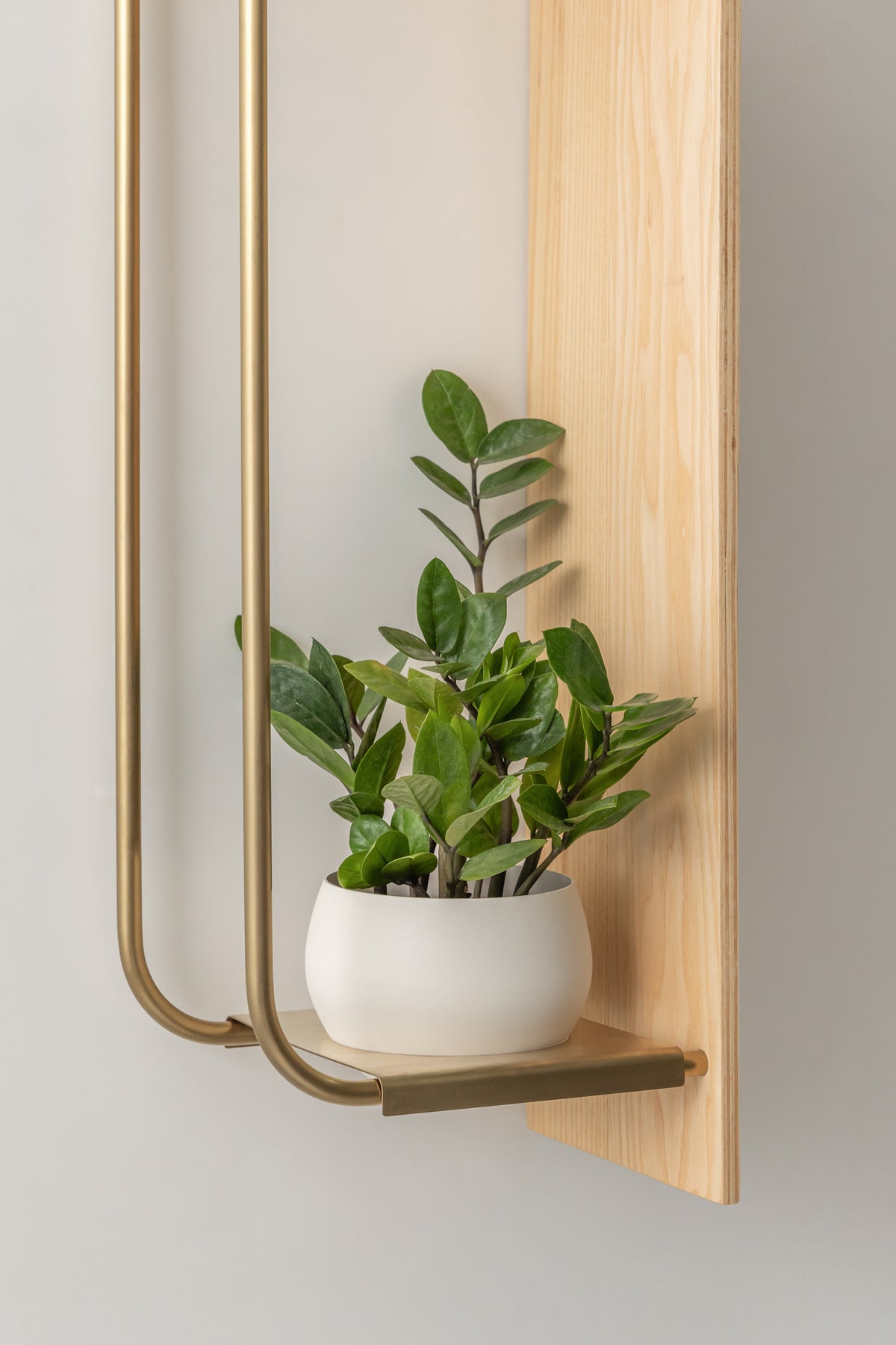 Curve Wall Shelf + Pot Trio