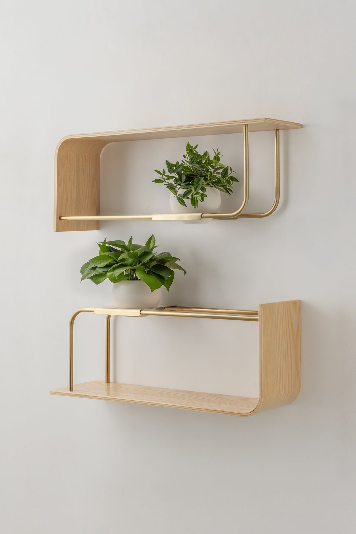 Curve Wall Shelf + Pot Duo