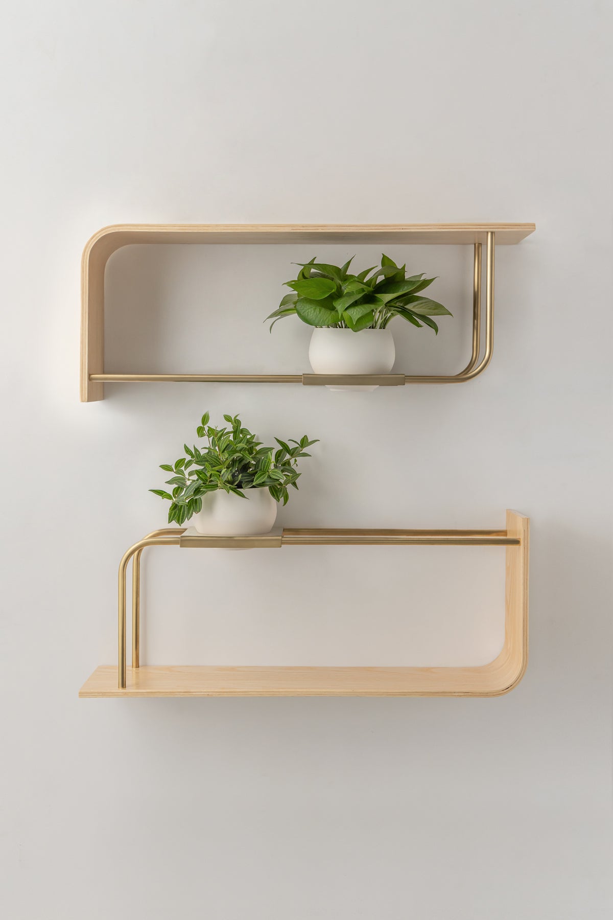 Curve Wall Shelf + Pot Duo