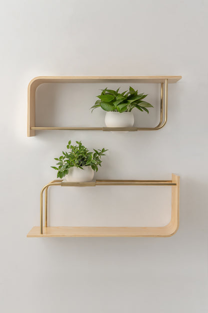 Curve Wall Shelf + Pot Duo
