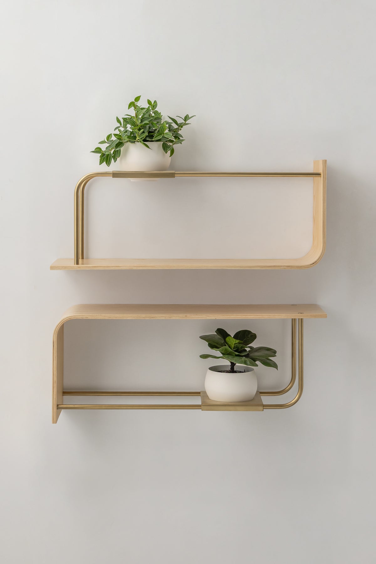 Curve Wall Shelf + Pot Duo
