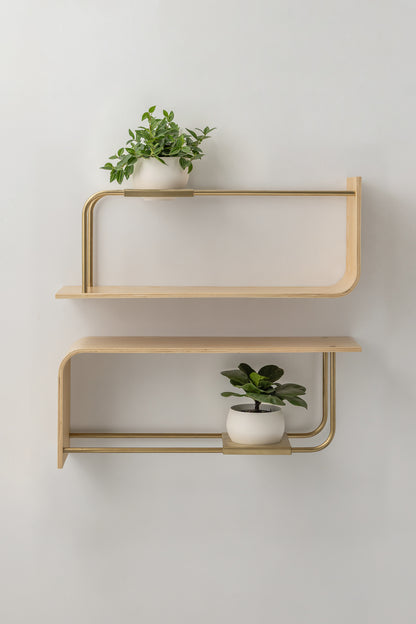 Curve Wall Shelf + Pot Duo