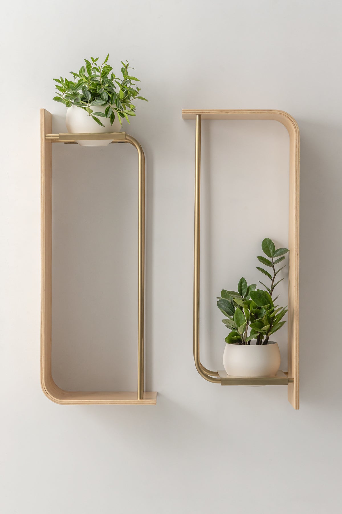 Curve Wall Shelf + Pot Duo