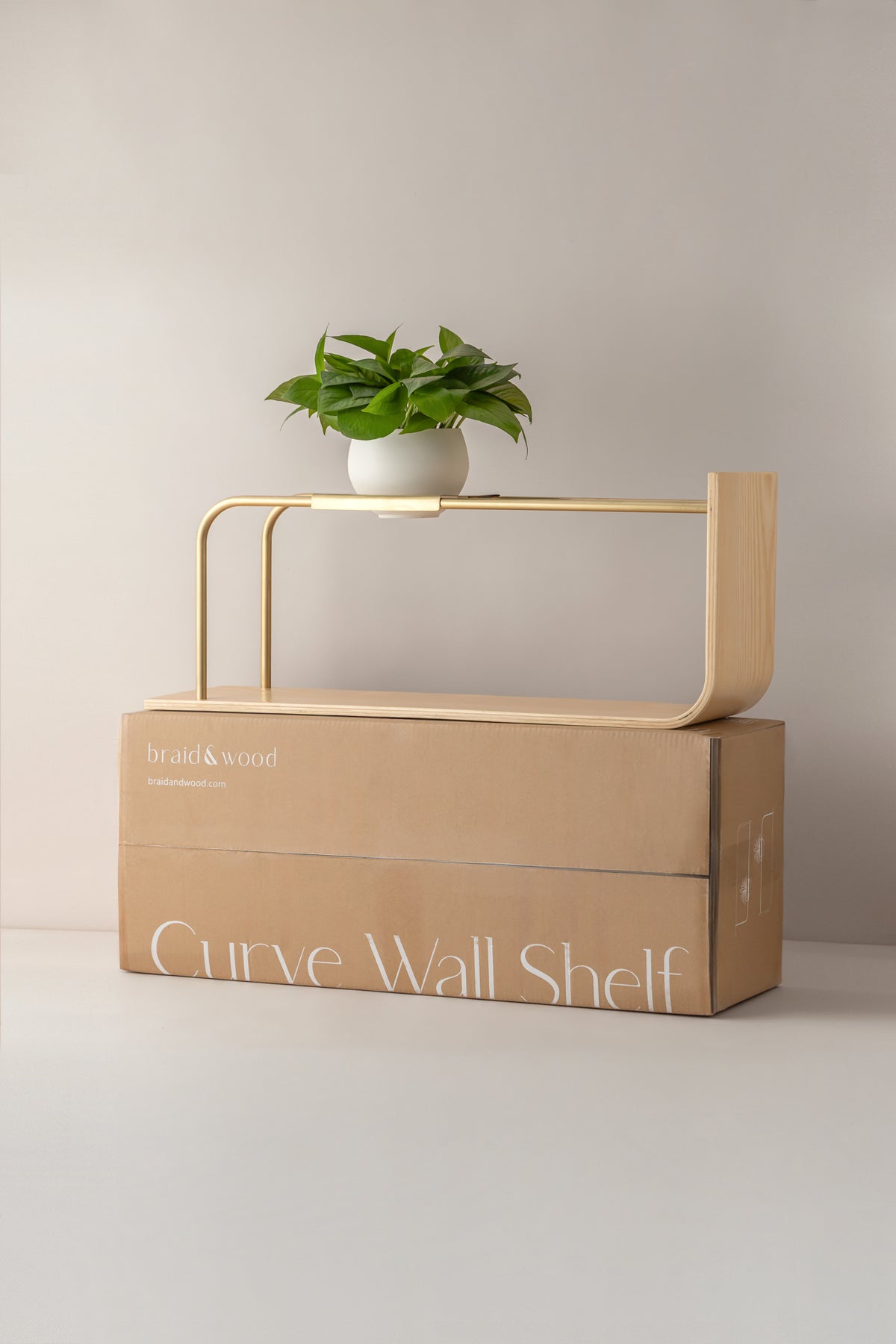 Curve Wall Shelf + Pot Duo