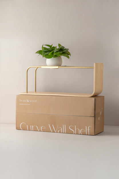 Curve Wall Shelf + Pot Duo