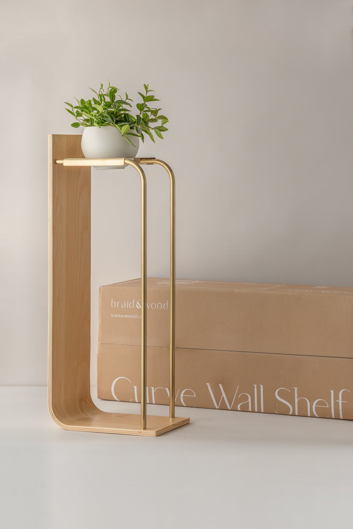 Curve Wall Shelf + Pot Duo
