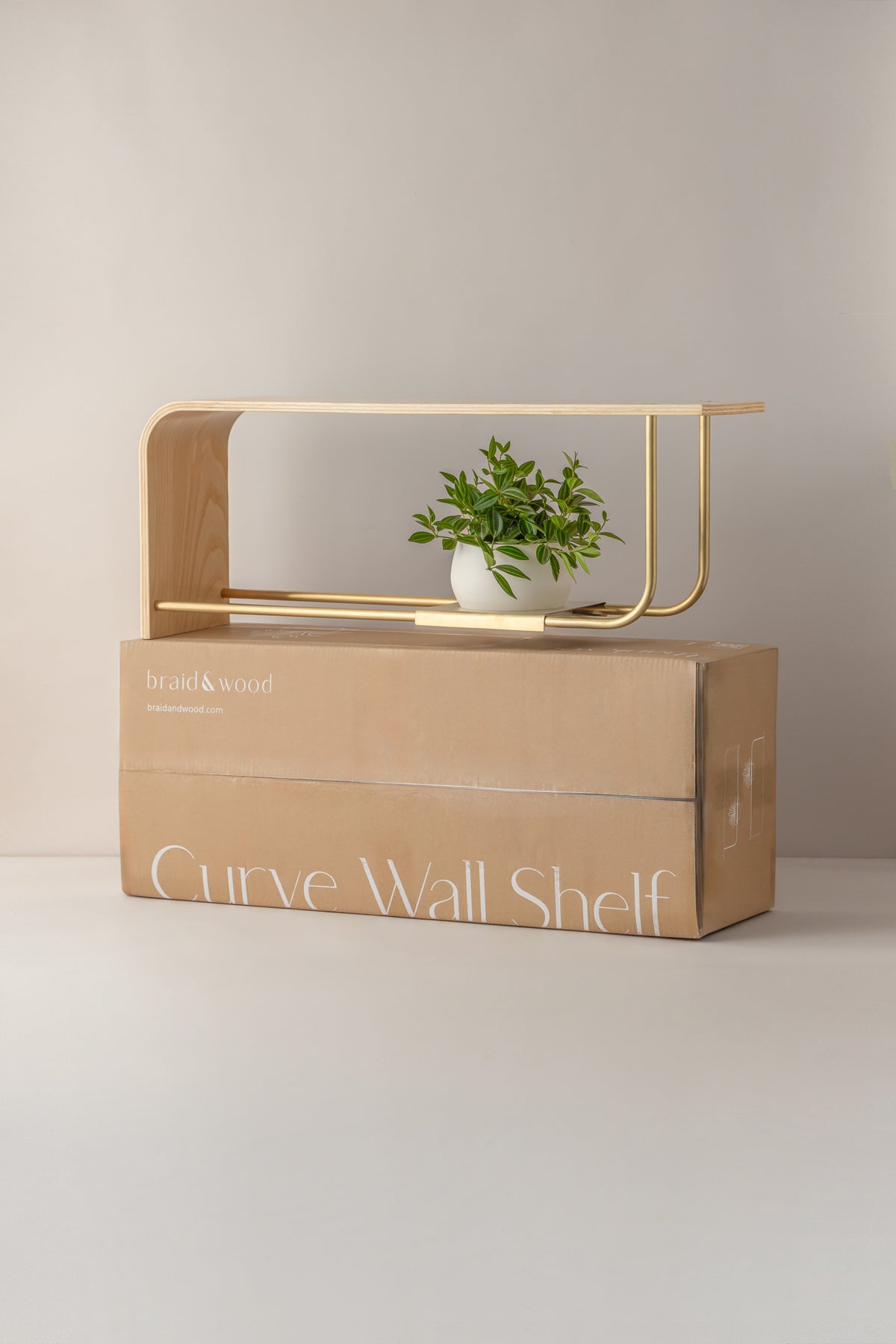 Curve Wall Shelf + Pot Quad