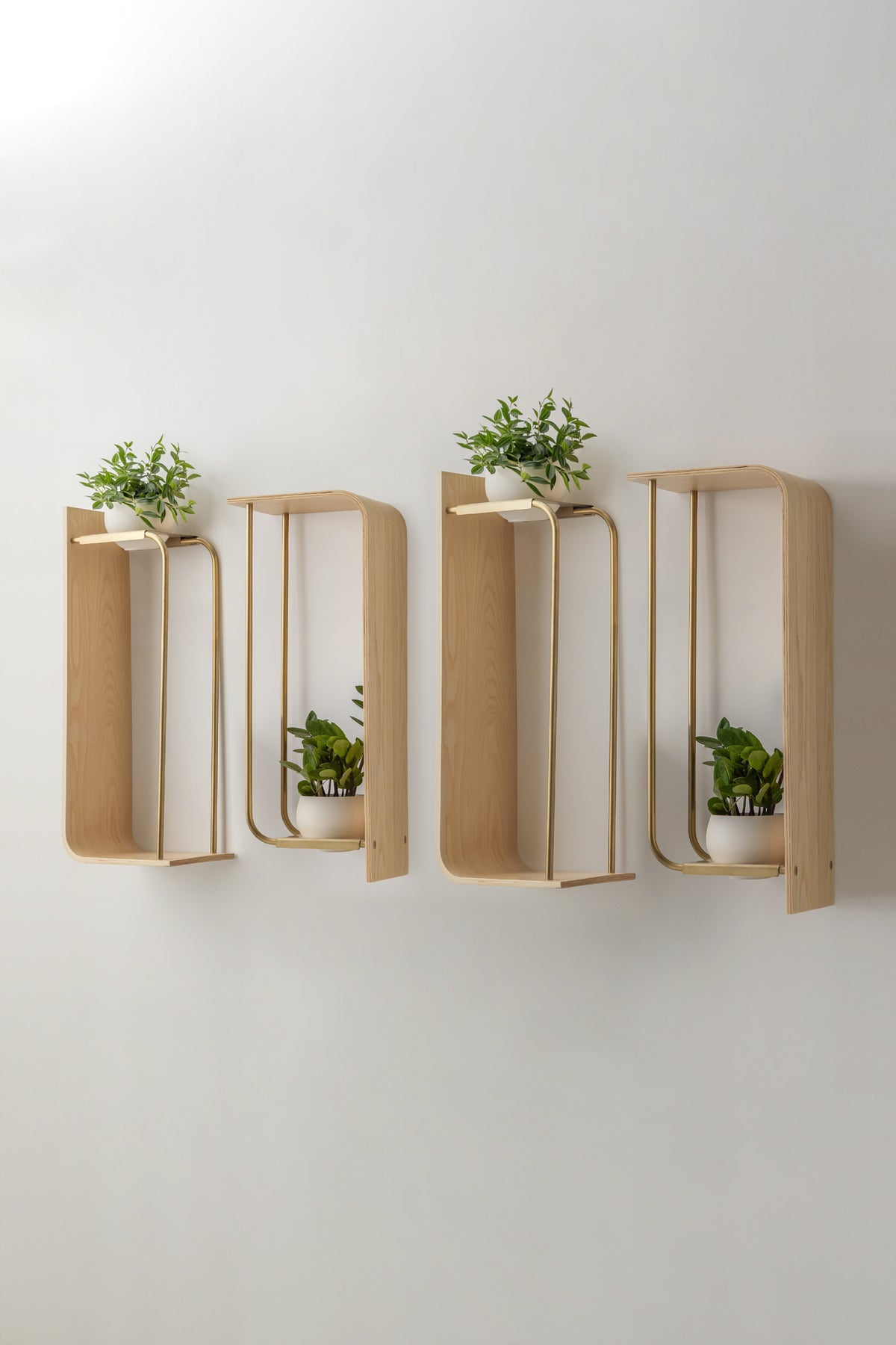 Curve Wall Shelf + Pot Quad