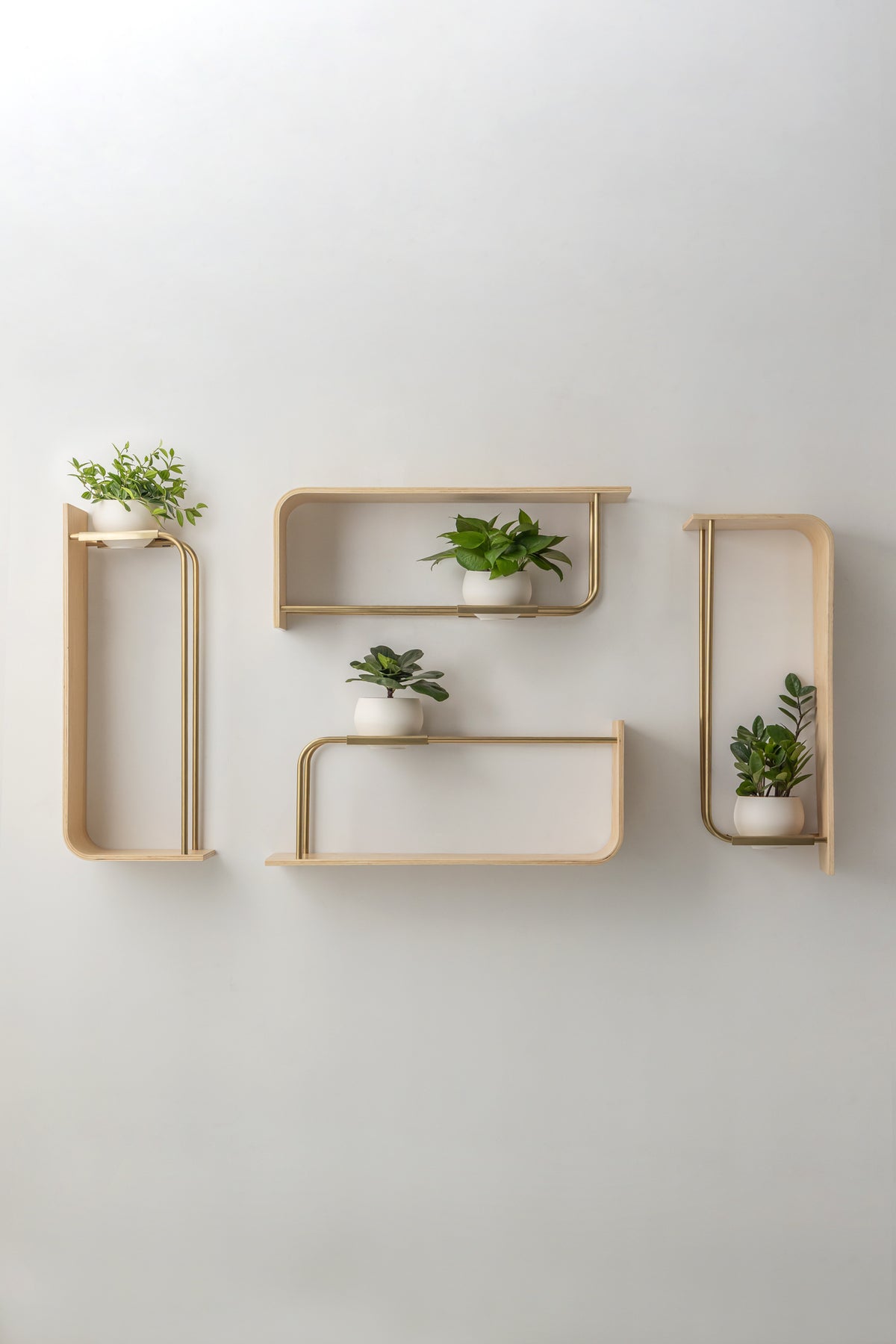 Curve Wall Shelf + Pot Quad