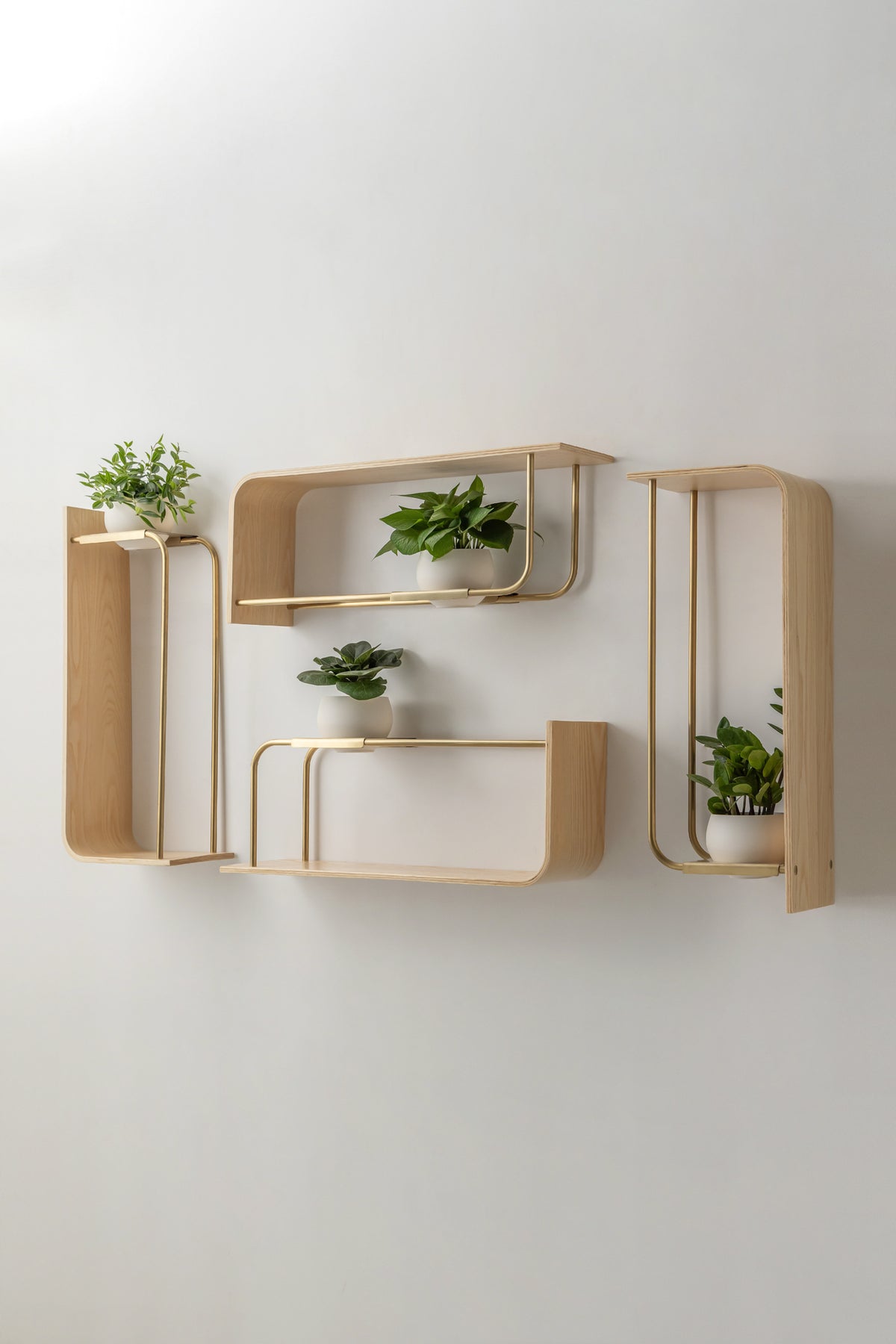Curve Wall Shelf + Pot Quad