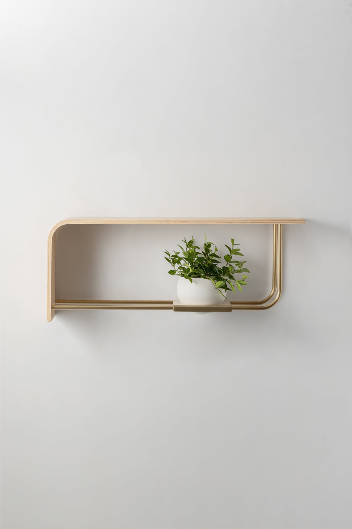 Curve Wall Shelf + Pot