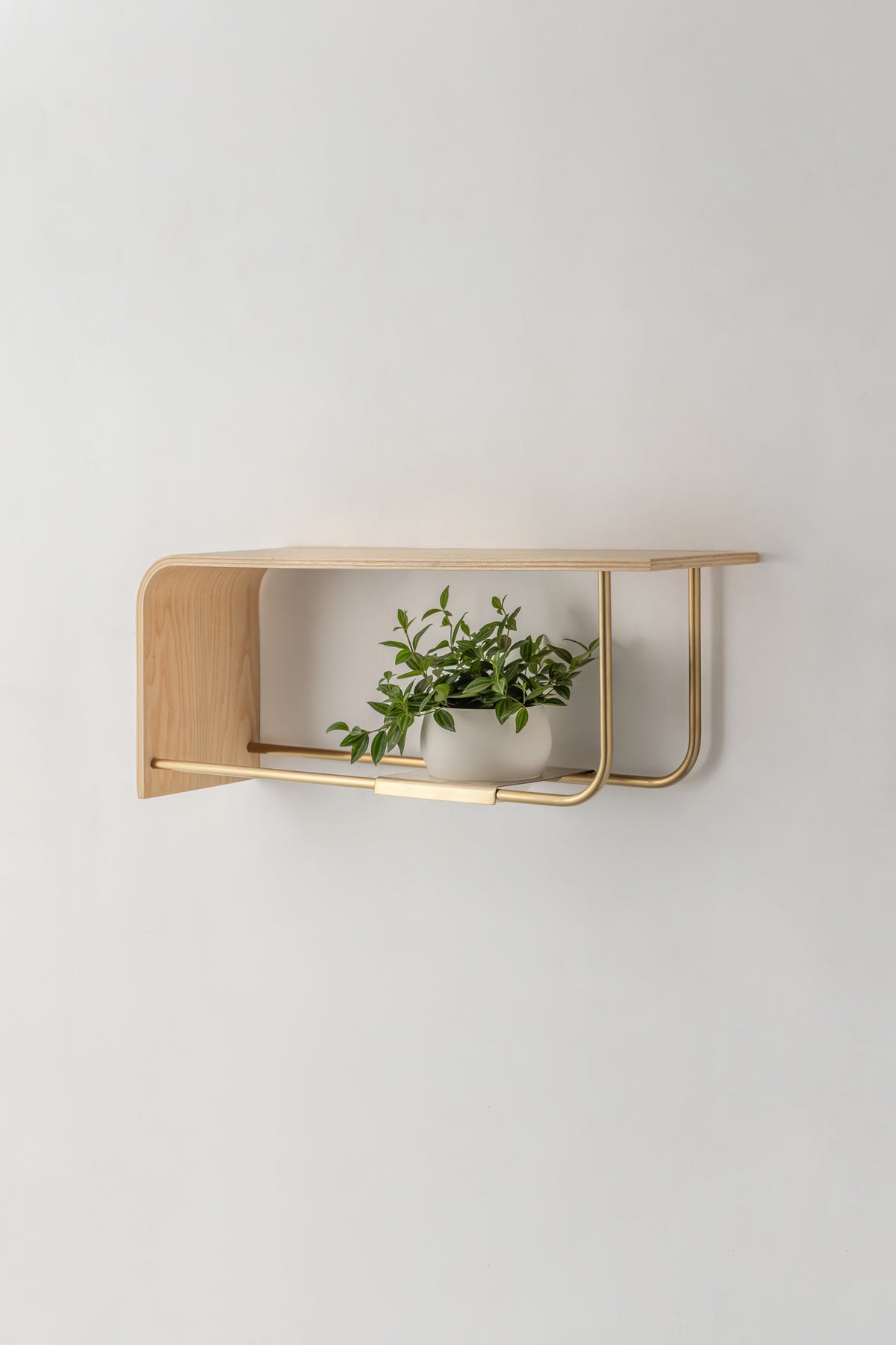 Curve Wall Shelf + Pot