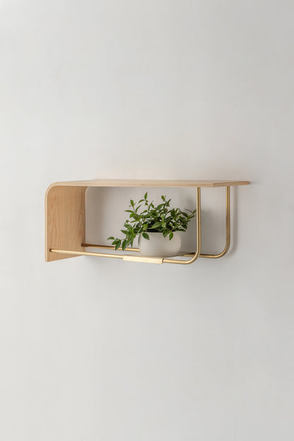 Curve Wall Shelf + Pot