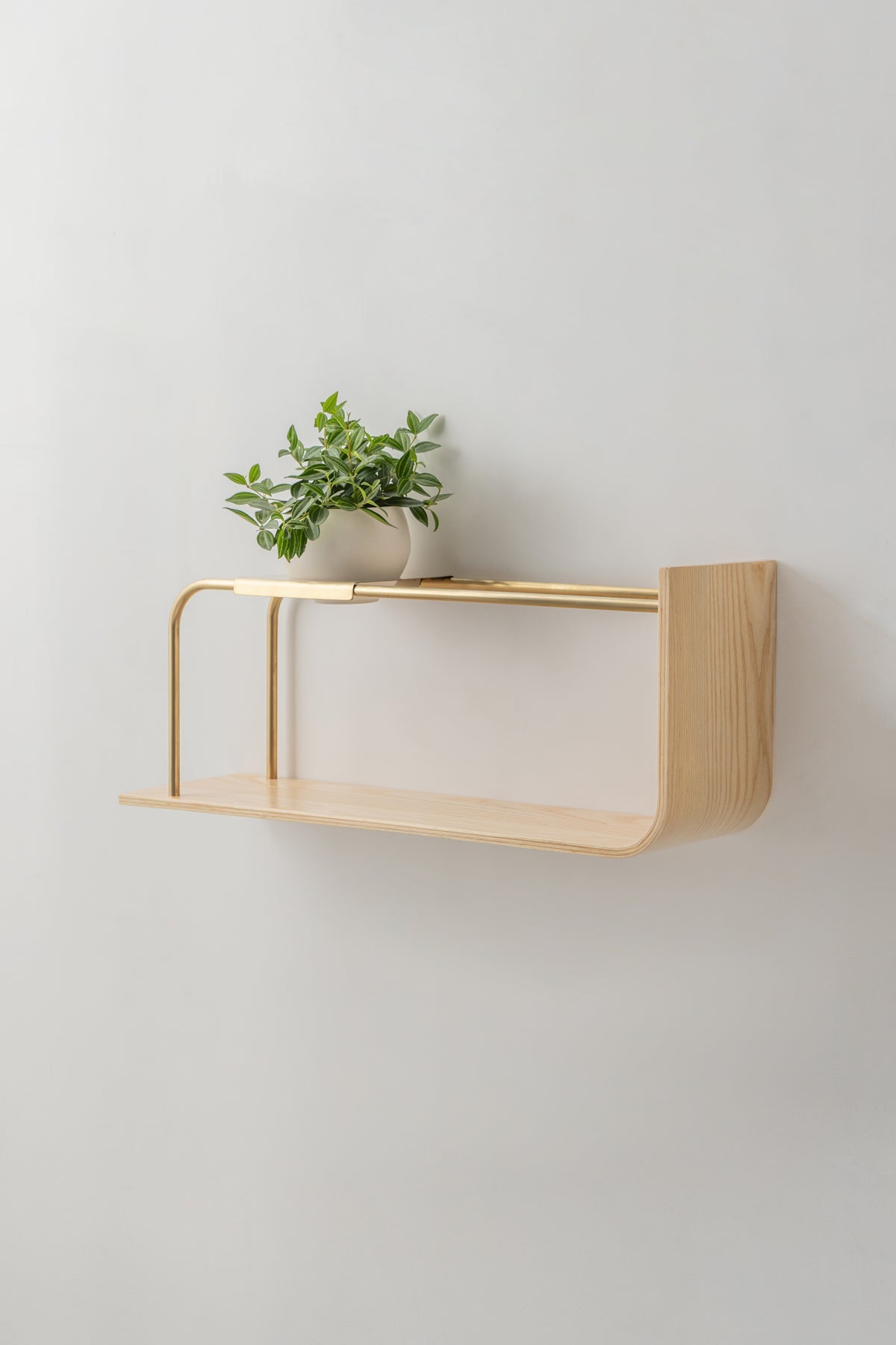 Curve Wall Shelf + Pot