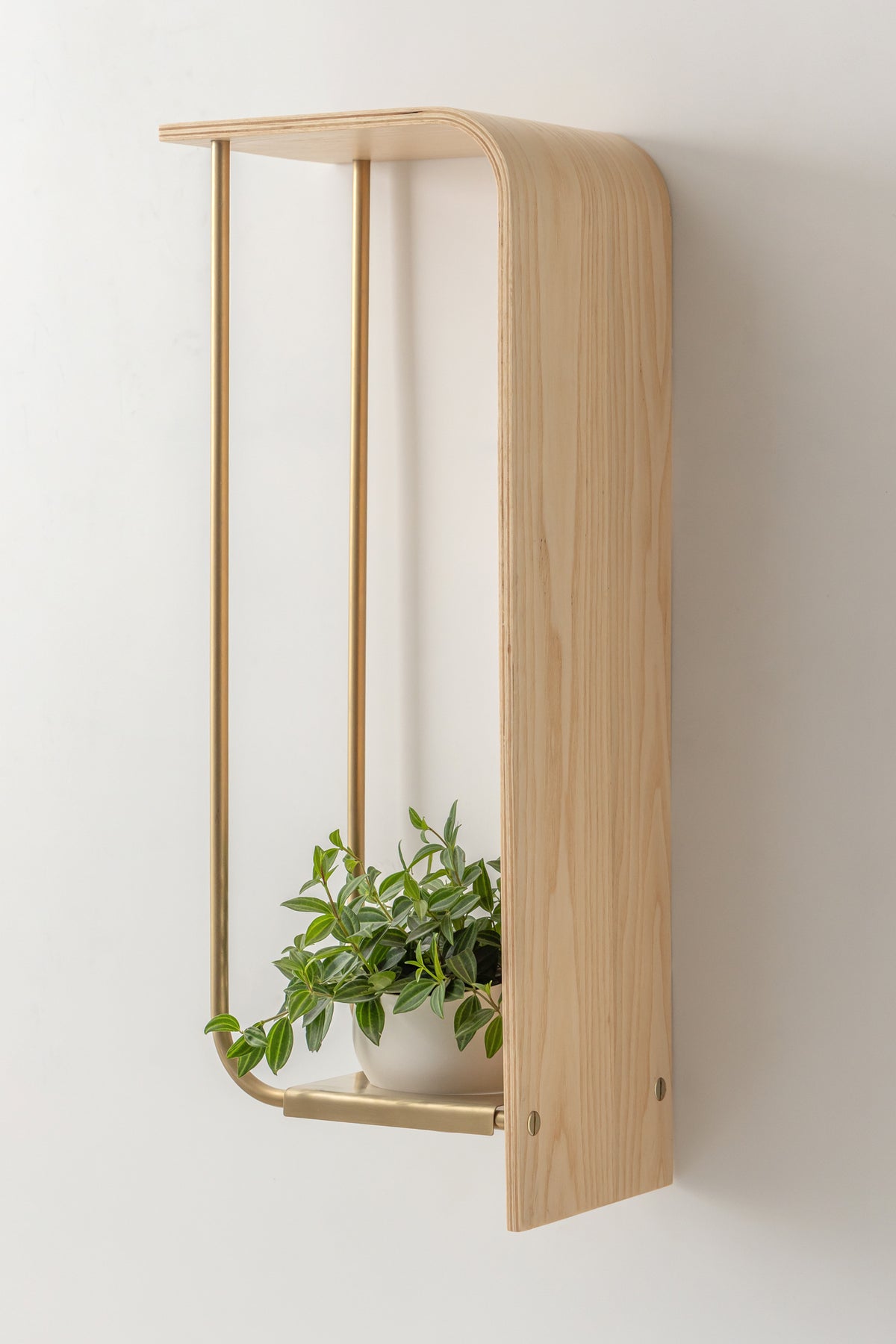 Curve Wall Shelf + Pot