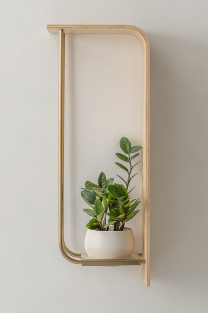 Curve Wall Shelf + Pot