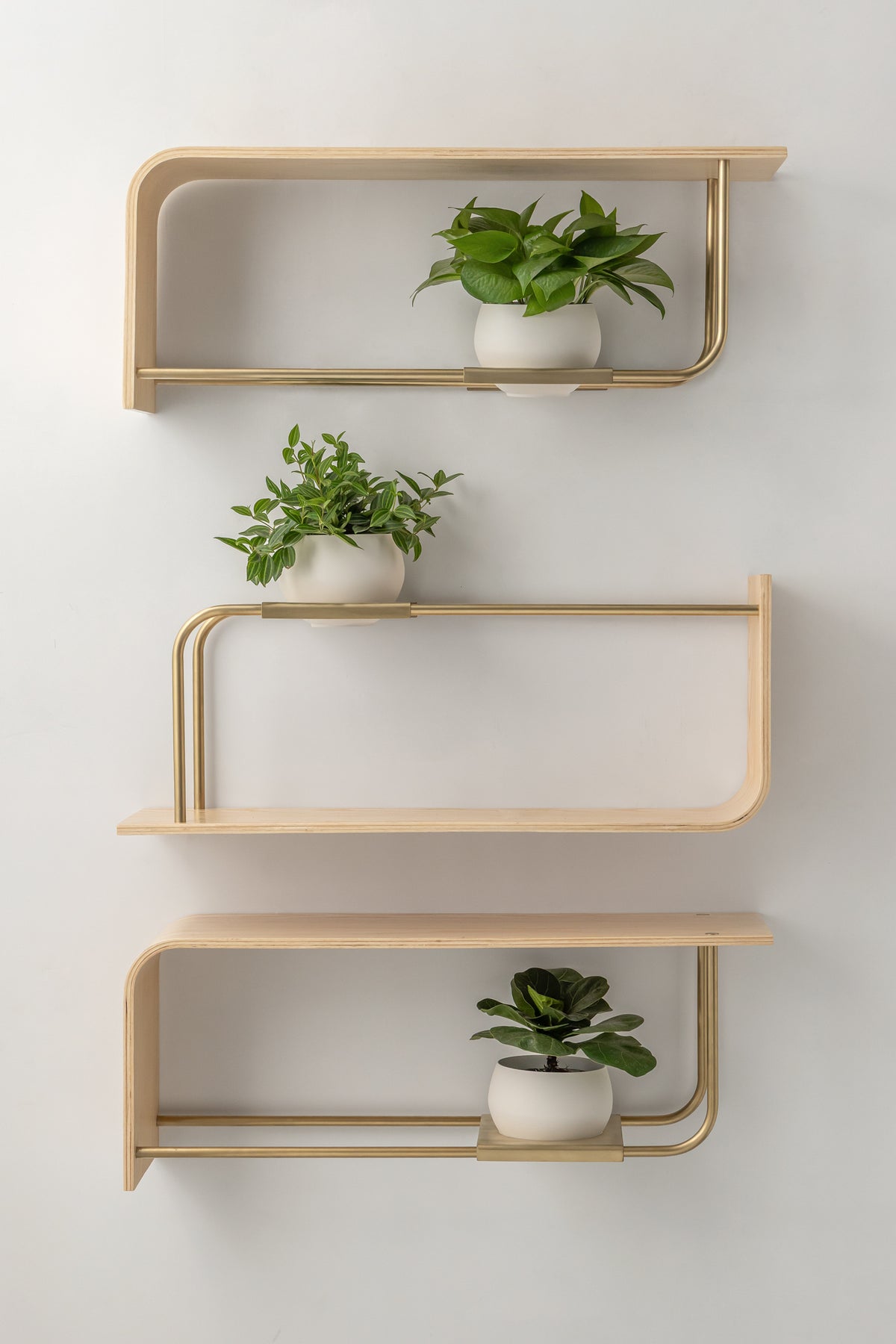 Curve Wall Shelf + Pot Trio