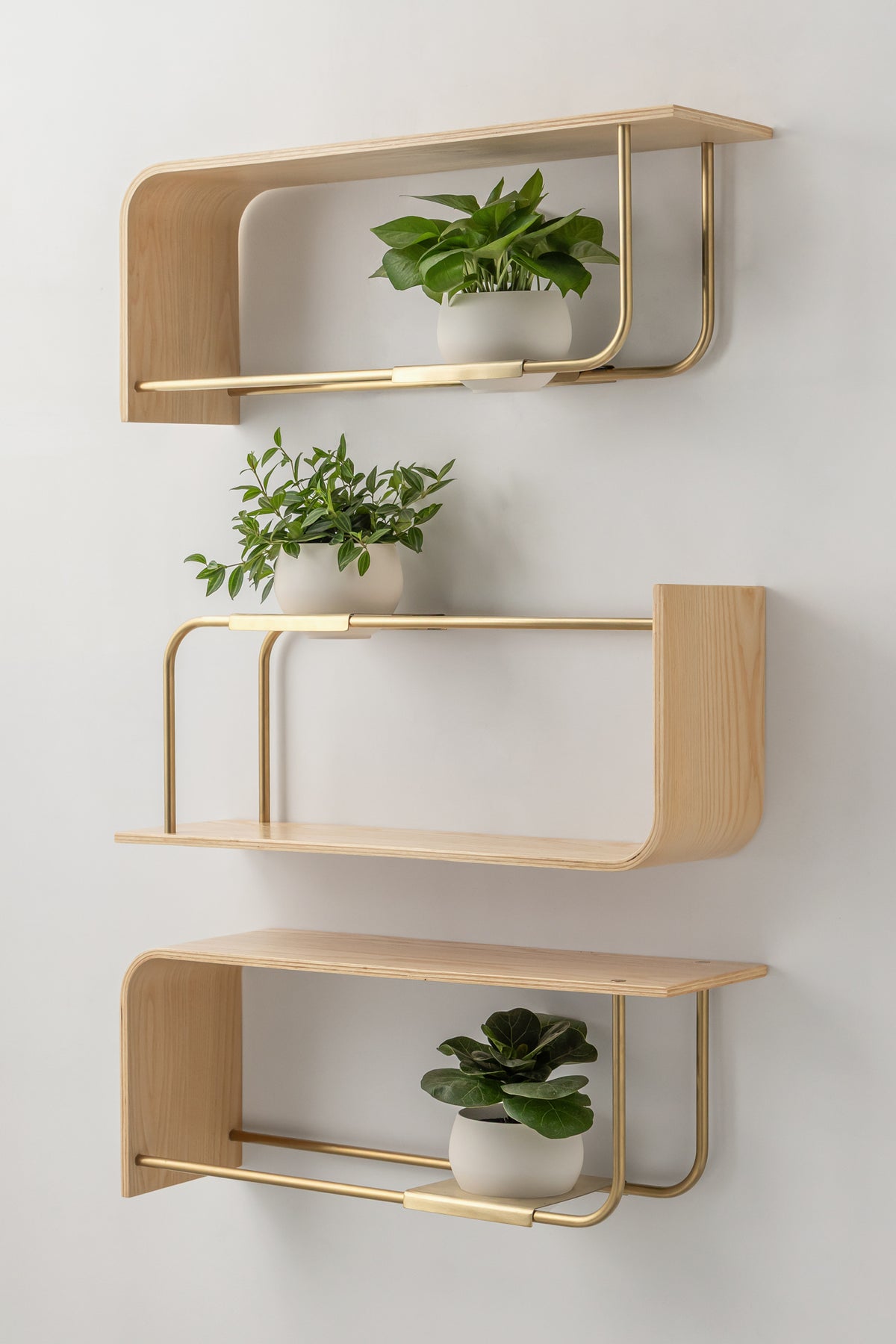 Curve Wall Shelf + Pot Trio