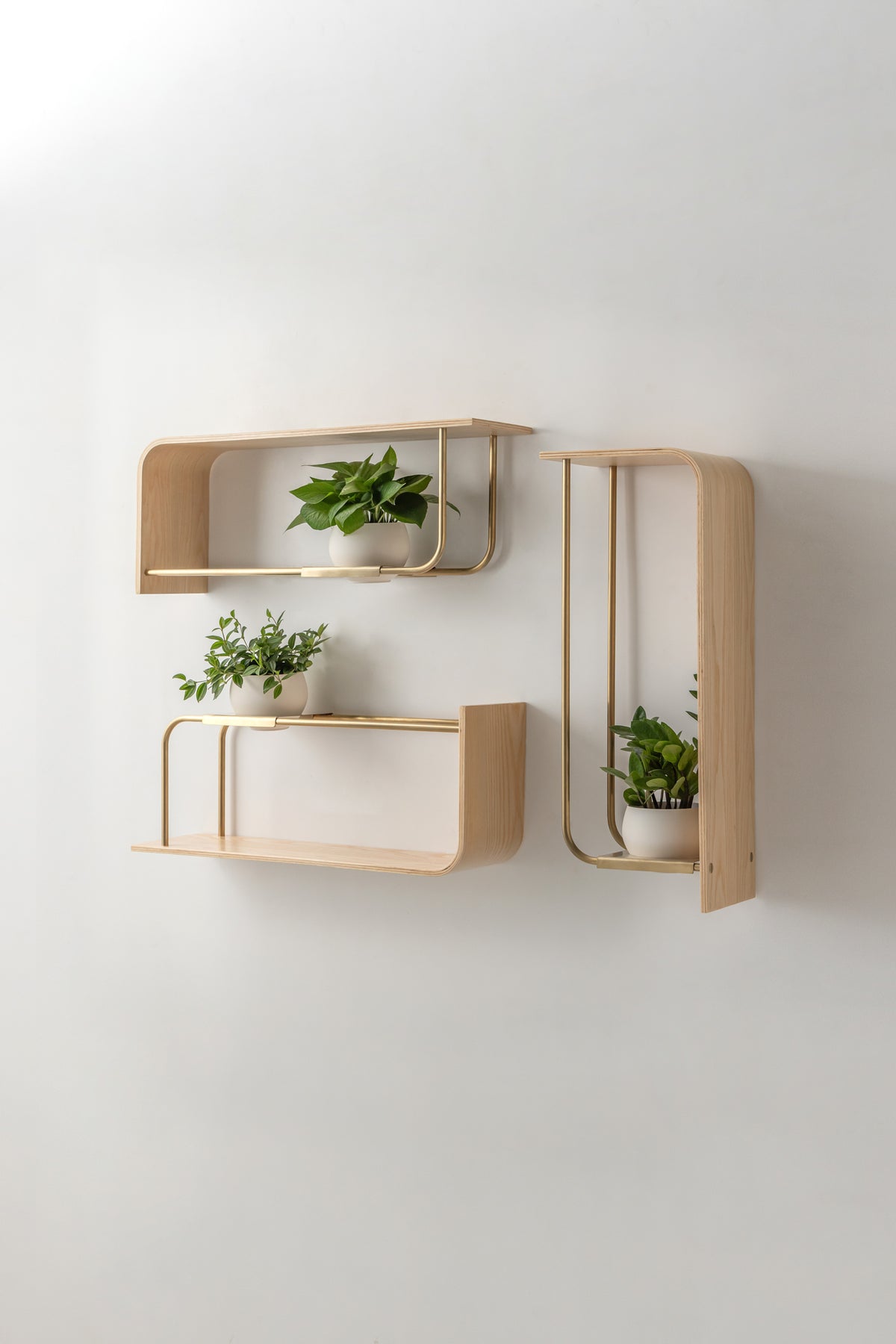 Curve Wall Shelf + Pot Trio