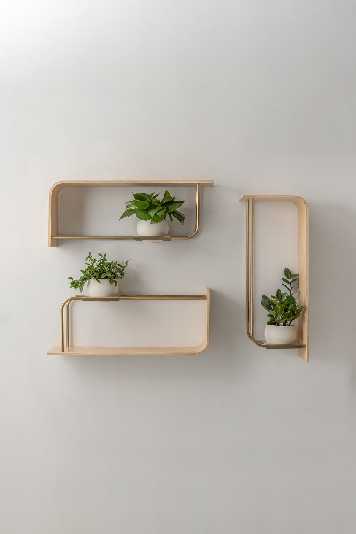 Curve Wall Shelf + Pot Trio